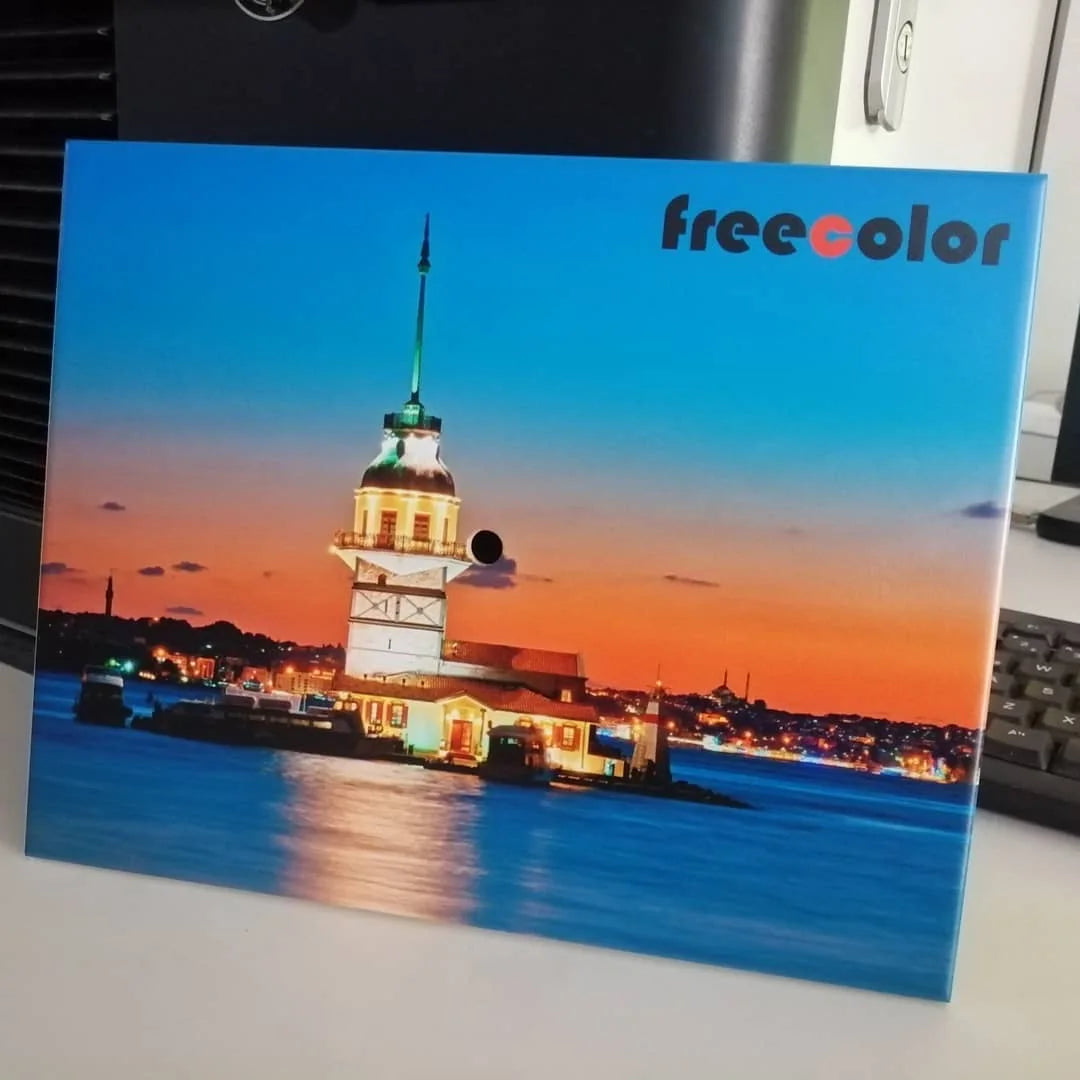 Freecolor Big Size FC-UV2513 Model UV Flatbed Printer for Plastic Phone Case Metal Glass Sheet Printing