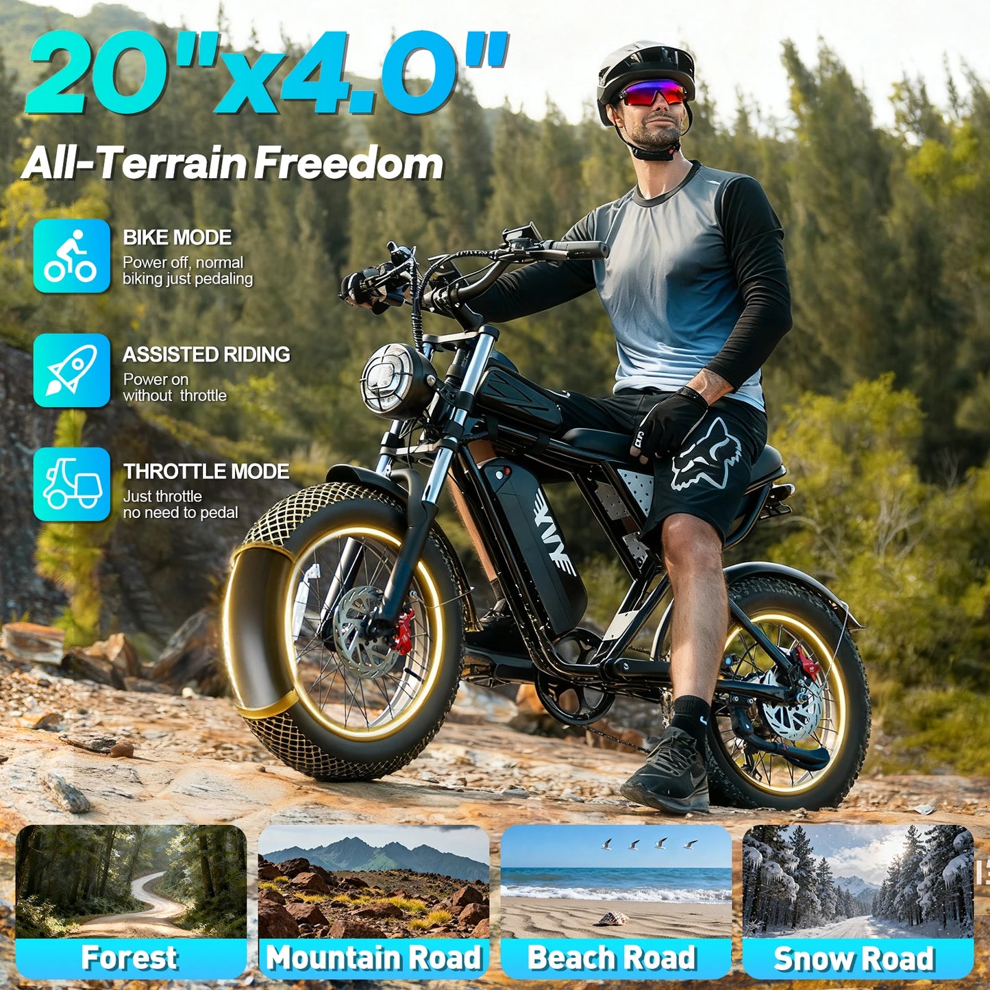 US Free Shipping Yvy Ridstar Q20 48v 20ah E Bike Electric Moped Electric Mountain Dirt Bike Fat Tire Electric Bicycle for Adults