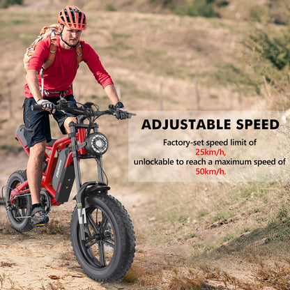2025 EU US EU Warehouse Drop Shipping Hot Sale Hidoes B6 Electric Bike Electric Mountain Bicycle 48v 1200w E Bike