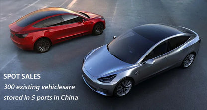 2025 New Arrive Electric Cars Made in China Model Y Model 3 High Speed Sedan New Energy Vehicles Ev Car